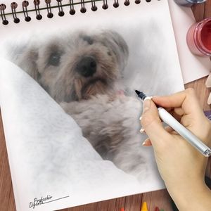 Meet your Posher, L del